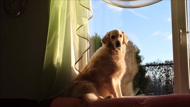 Джесси ждёт гостей смотреть онлайн