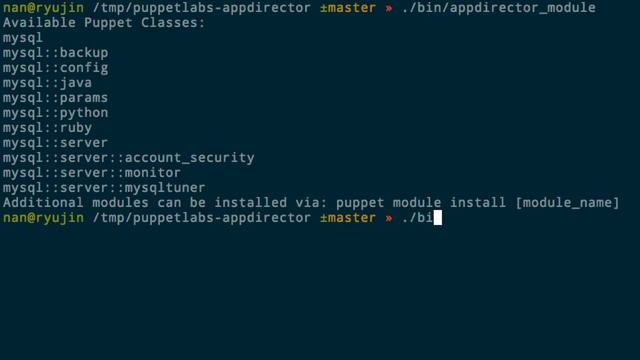 Puppet Integration with VMware vCloud Application Director смотреть онлайн