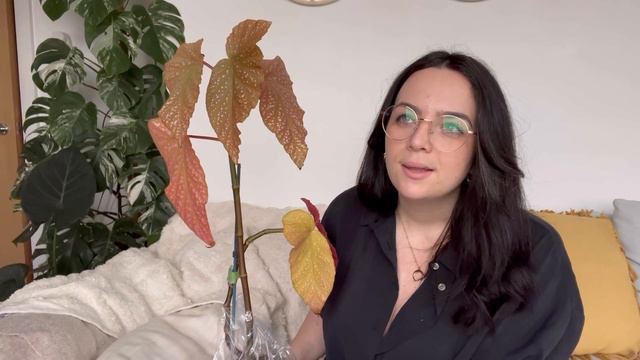 Ugly plants in my collection 🥀 Plants I'm ashamed of 👀 смотреть онлайн