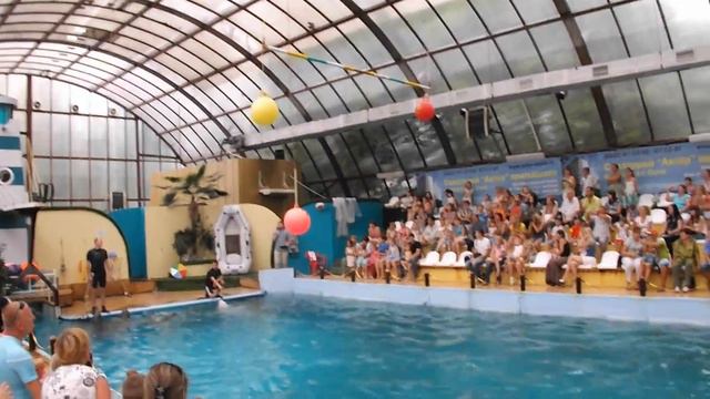 ДЕЛЬФИНАРИЙ смотреть онлайн