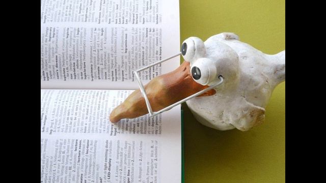 Как быстро выучить иностранный язык. смотреть онлайн