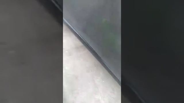 Удаление пятен смолы с кузова авто смотреть онлайн