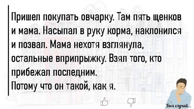 ?Большой Сборник Весёлых,Жизненных Историй,Для Супер Настроения На Весь День!