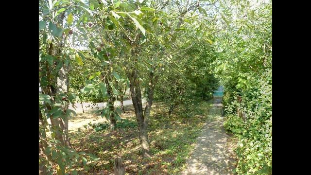 купить готовый дом в Краснодарского края с. Красносельское Динского района.