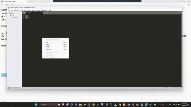 Lecture 3 Comments in PHP смотреть онлайн