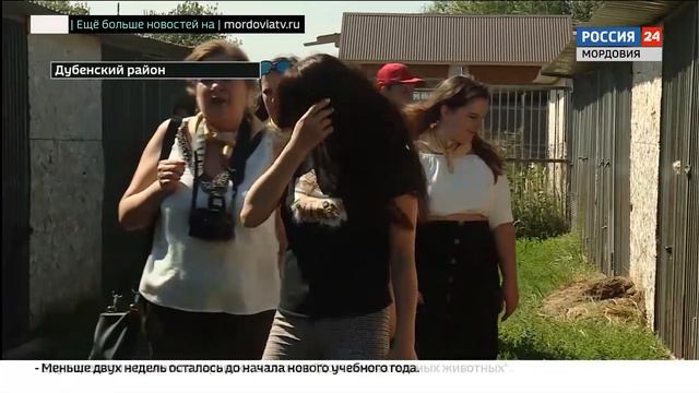 Предприниматели Мордовии собрали около 400 килограмм кормов для бездомных животных