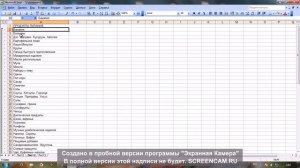 Разворачивающийся список в Эксель