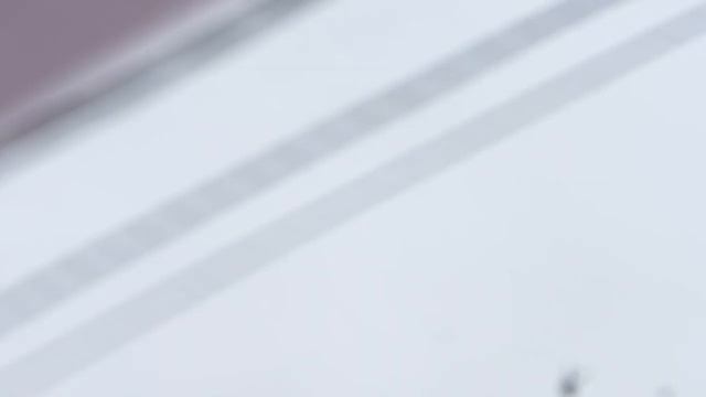 Январский рейд #10 (покос + обзор серых) смотреть онлайн