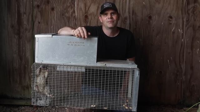 The World's Best Rat & Squirrel Trap. The Uhlik Repeater part 2 - Mousetrap Monday смотреть онлайн