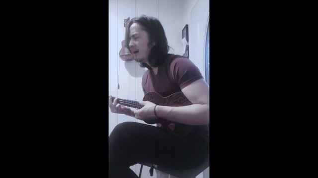 Sufjan Stevens - Mystery of Love (lofi ukulele cover) смотреть онлайн