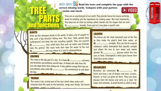 Excel 8 grade Module 6f Tree parts and functions, Части дерева и их функции на английском смотреть онлайн