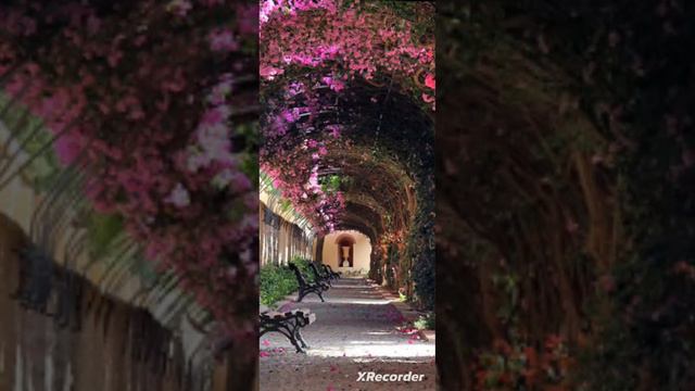 сура 73 Муззаммиль, смотреть онлайн