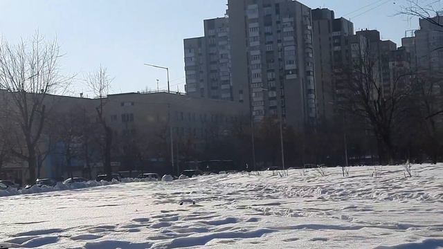 22 февраля весну искали и нашли: ПЕРВЫЙ ЖУК - 2021 смотреть онлайн