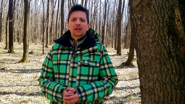 Как сдвинуть любое важное дело с мертвой точки смотреть онлайн