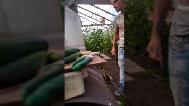 почти выключен кирпичом смотреть онлайн