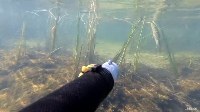 Подводная охота в ХМАО/ Ружьё Таймень 600 смотреть онлайн