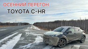 Осенний перегон TOYOTA C-HR, японские санкции
