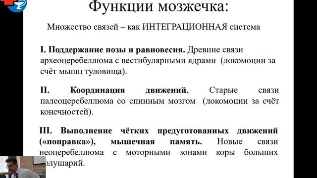 ЯГМУ. Мозжечок, средний мозг смотреть онлайн