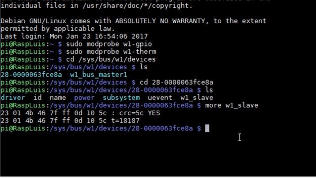 Raspberry PI 3 - SENSOR DS18B20 - LECTURA DE DATOS - PYTHON смотреть онлайн