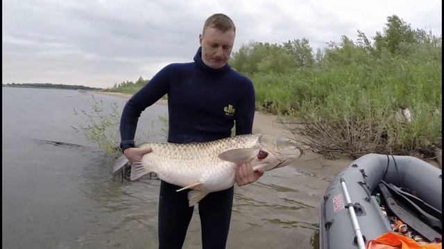 Дневники подводного охотника. 19.07.2014 смотреть онлайн
