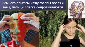 Застой крови в височной вене ухудшает работу мозга, создаёт отёки лица. Упражнения