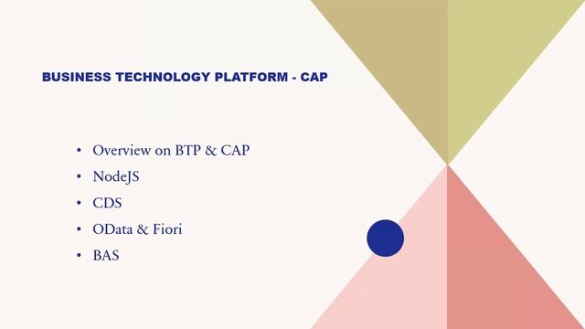 SAP BTP CAP(NodeJS & CDS) Live Demo on 16-Aug-2023 Sharp @ 9 PM IST | Registration Link in Desc смотреть онлайн