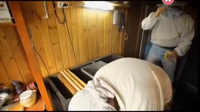 Пчелиная семья уникальная модель общества смотреть онлайн