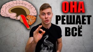 МОЗГ будет делать всё САМ ! Ретикулярная формация