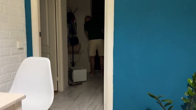 Повседневная жизнь бульдога смотреть онлайн