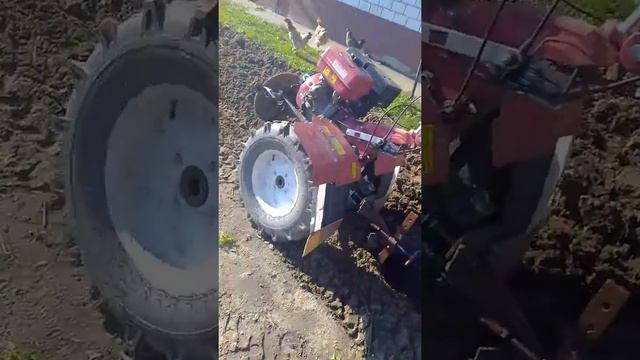конский плуг похота с довескам смотреть онлайн
