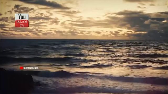 ПОЧЕМУ ПРОРОК ГОВОРИЛ СУПРУГАМ ПРИННИМАТЬ ВАННУ ХОТЬ В РАЗ В ЖИЗНИ?И ЧТО С НИМИ ПРОИСХОДИТ? ЗА ЧТО