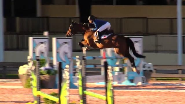 Arian P and Olivia Minicucci 4000$ Adult Classic 1.15m WEF 2018 - Jump off смотреть онлайн