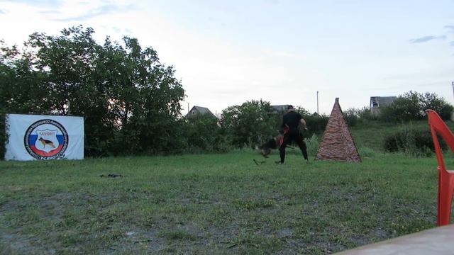 Тигра с Черного Моря,возобновила обучение) смотреть онлайн