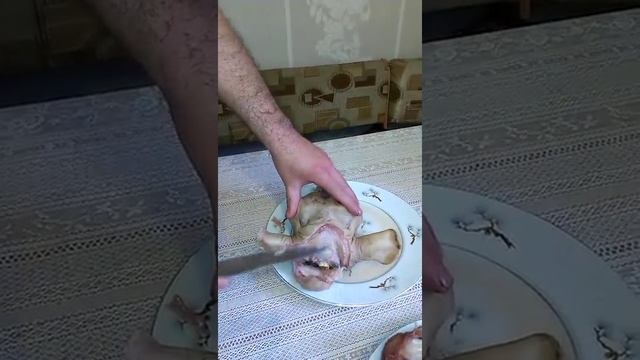 Приключения на Природе