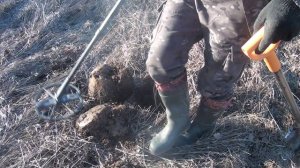 Мы даже и не думали что на выбитой деревне можно найти небитую поляну с крутыми находками