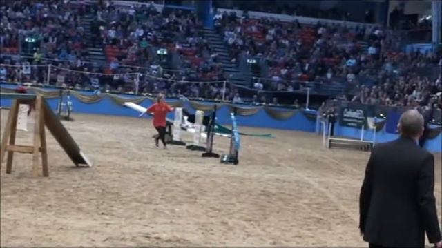 Nellie at Olympia 2010 - Agility Pairs Winner.wmv смотреть онлайн