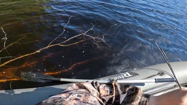 поведение щуки во второй половине мая ловля на кружки смотреть онлайн