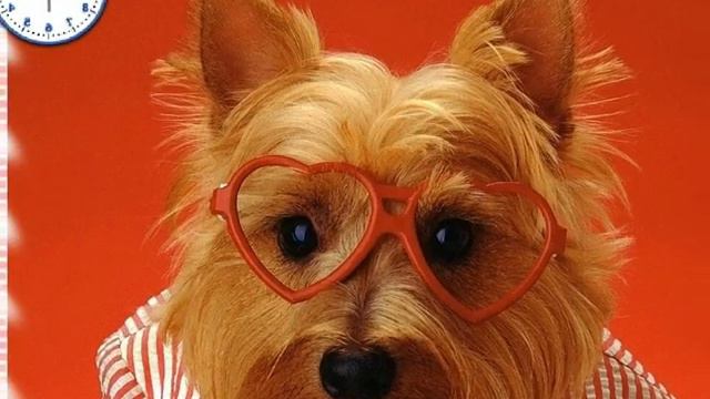 Калейдоскоп огней..wmv смотреть онлайн