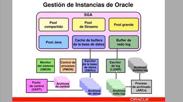 ARQUITECTURA DE ORACLE TEORIA смотреть онлайн