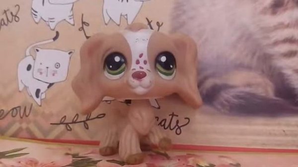 LPS: Моя коллекция lps собак. | LPS Swetty Cat
