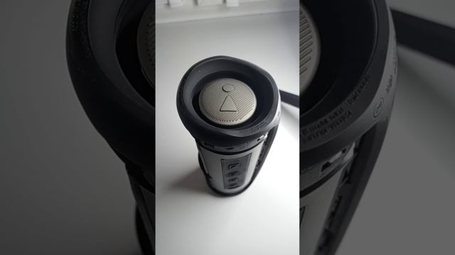 Диман Брюханов - Не пробуй их понять Колонка JBL FLIP 5 LFM 60% Bass Test смотреть онлайн