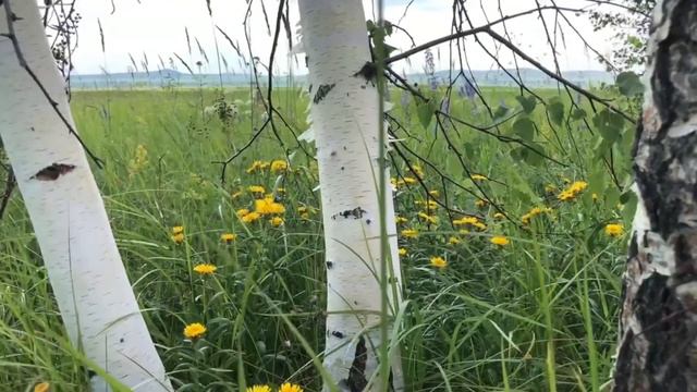 В ней есть душа