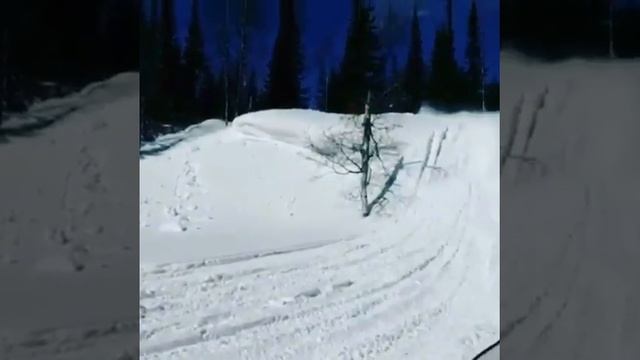 Горный снегоход в пухляк смотреть онлайн