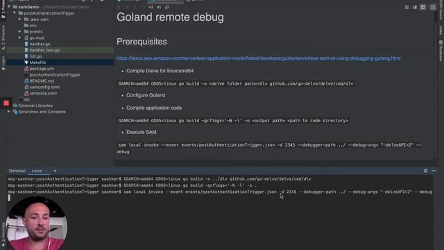 AWS lambda debugging in Goland смотреть онлайн