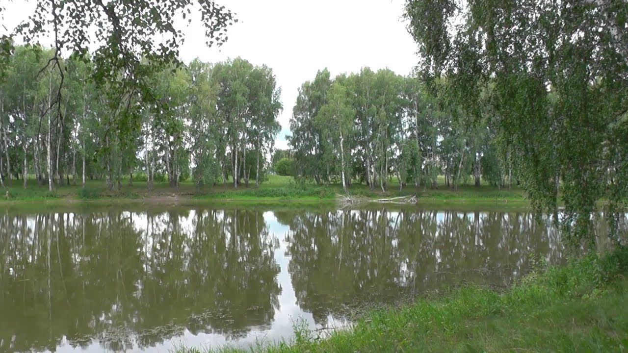 Красивое лесное озеро возле села Кучаниха. Новосибирская область Тогучинский район. смотреть онлайн