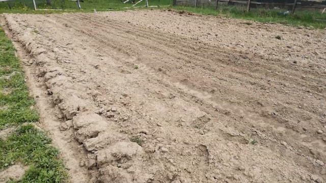 Садим картошку ледобуром смотреть онлайн