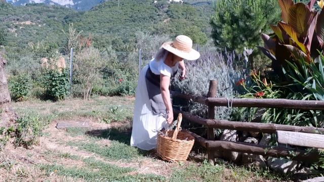 Шале и розы в горах Италии. Сбор лаванды. смотреть онлайн