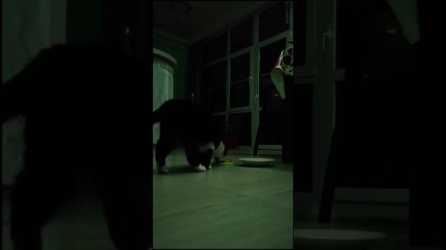 Заснимет ли камера что нибудь ночью? смотреть онлайн