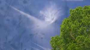 Эдвард Григ. "Смерть Озе" из сюиты "Пер Гюнт".