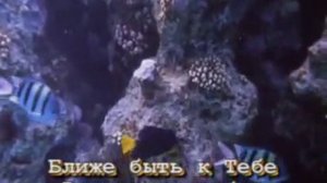 4.Ближе быть к тебе